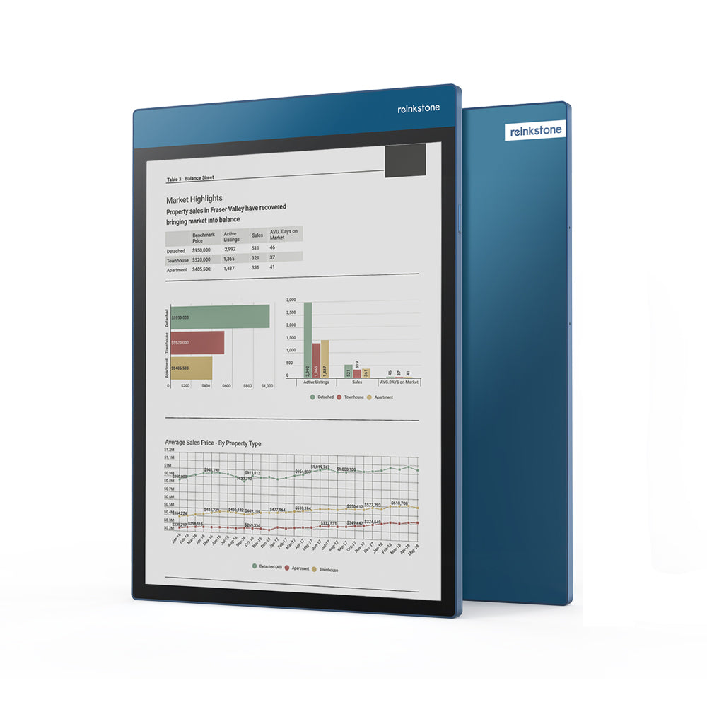 R1 - 10" DES Color E-paper Tablet